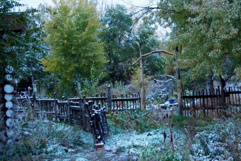 Taos Goji Farm & Eco-Lodge Retreat Arroyo Seco ภายนอก รูปภาพ